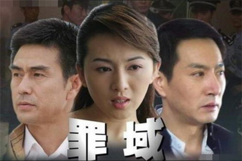 罪域演员表，电视剧罪域演员表