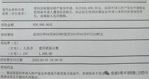 保险公司 诉讼保全，保险公司诉讼保全担保的收费标准