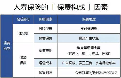 怎样分类保险公司，怎样分类保险公司名称