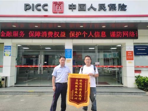 丹东PICC保险公司，丹东市保险公司